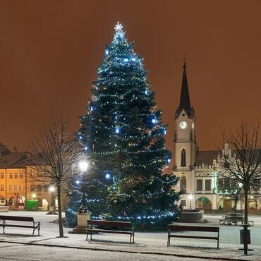 Trutnov, Vánoční strom